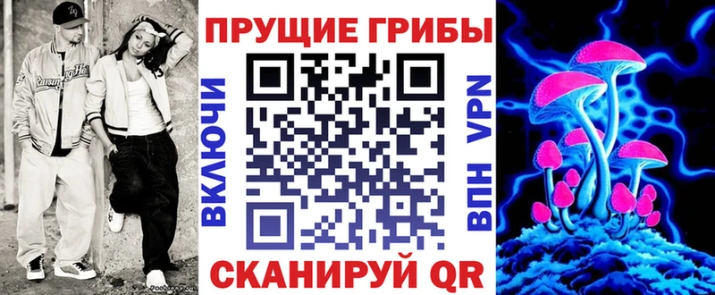 как найти закладки  Оха  Галлюциногенные грибы Psilocybe 